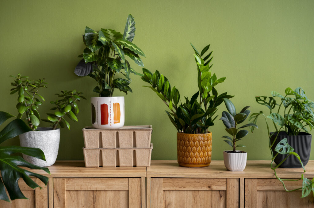 indoor planters 