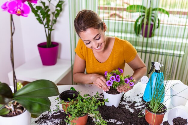 Flowers Pots