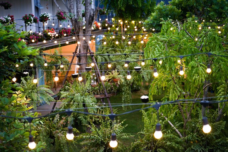 Garden Landscape illuminating